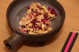 Expedícia Budatínsky hrad